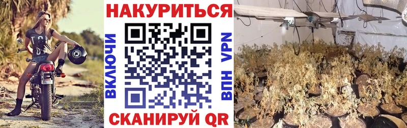 Цена Фрязино Конопля АМФЕТАМИН Гашиш МЕФ