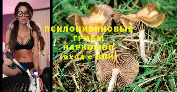 а пвп мука Армянск