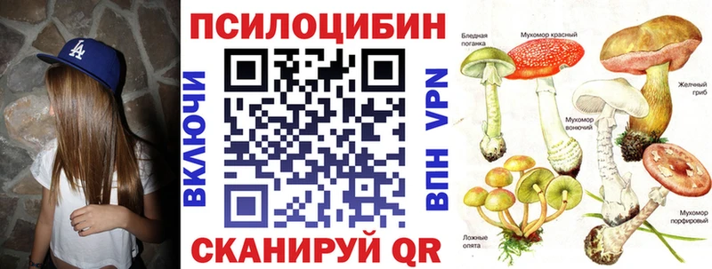 где продают наркотики Фрязино Галлюциногенные грибы MAGIC MUSHROOMS