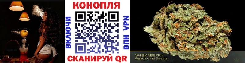 продажа наркотиков  Фрязино  Бошки марихуана MAZAR 